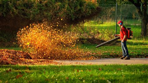 Cambridge ban on gas-powered leaf blowers could go into effect a year earlier than first proposed